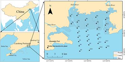 Levels, Sources and Potential Risks of Polychlorinated Biphenyls and Organochlorine Pesticides in Sediments of Qingduizi Bay, China: Does Developing Mariculture Matter?